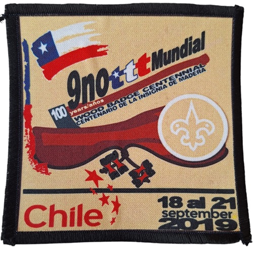Insignia scout 9° TTT MUNDIAL WOIS 2019
