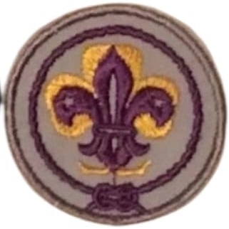 Insignia scout PROMESA Guías y Scouts de Chile (antigua)