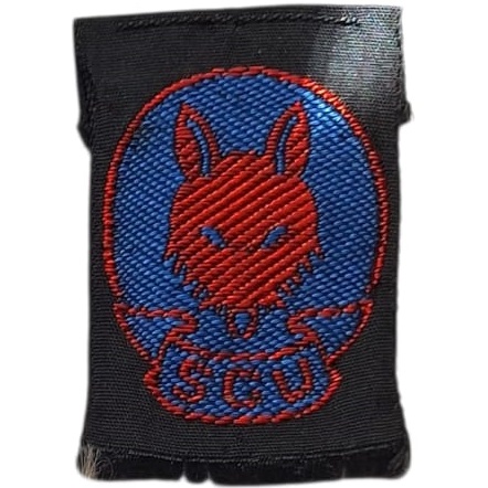 Insignia scout Promesa Lobatos ASCU Uruguay años 60-90s