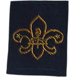 Insignia scout etapa TERCERA CLASE Argentina INSA