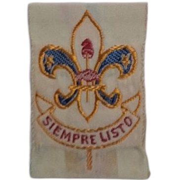 Insignia scout etapa PRIMERA CLASE Argentina INSA