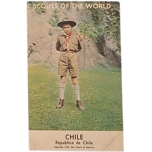 Postal 1964 Chile SCOUTS OF THE WORLD