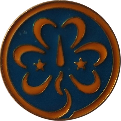 Pin de las GUÍAS DE CHILE