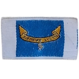 Insignia scout etapa SEGUNDA CLASE Ecuador ASE (antigua)