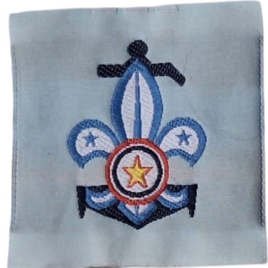 Insignia scout Promesa Scouts Navales FEPE Paraguay
