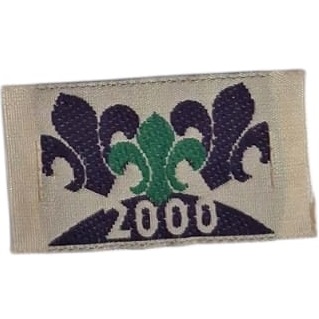 Insignia scout Anualidad 2000 SA Argentina