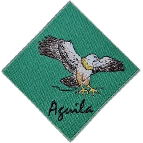Insignia scout etapa ÁGUILA Chile (antigua)