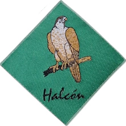 Insignia scout etapa HALCÓN Chile (antigua)