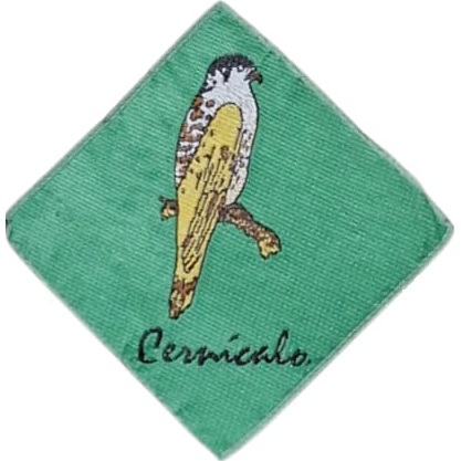 Insignia scout etapa CERNÍCALO Chile (antigua)