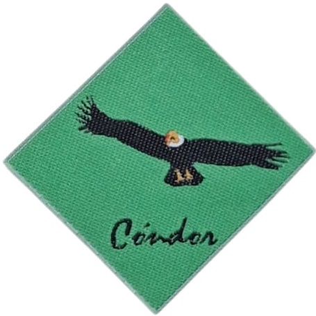 Insignia scout etapa CÓNDOR Chile (antigua)