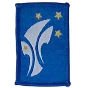 Insignia scout PROMESA Argentina SA (variante)