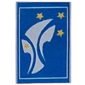 Insignia scout PROMESA Argentina SA