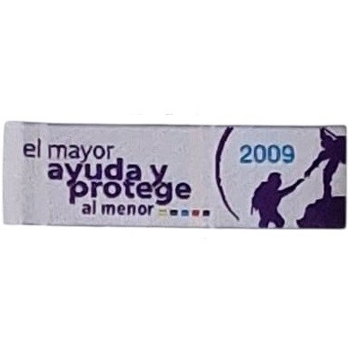 Insignia scout Anualidad 2009 SA Argentina