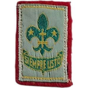 Insignia scout Promesa Rover USCA Argentina