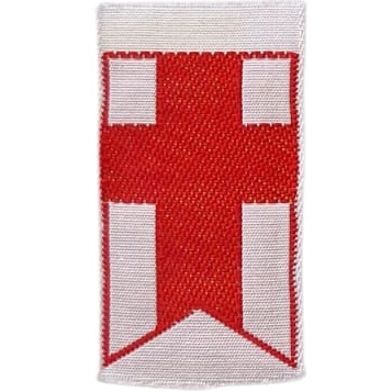 Insignia scout etapa PIONEIRA Brasil UEB (1995-2013)
