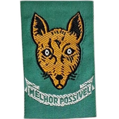 Insignia scout PROMESA Lobatos Brasil UEB (antigua)
