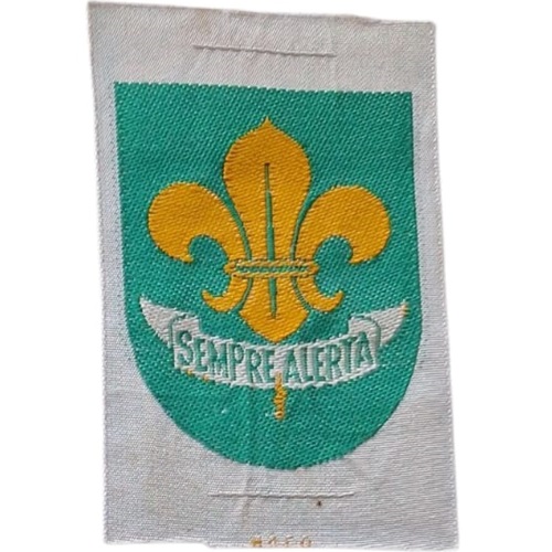 Insignia scout etapa PRIMERA CLASE Brasil UEB (1986-2006)
