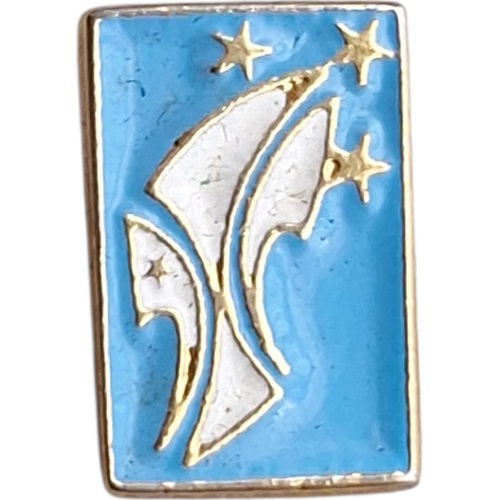 Pin de SCOUTS DE ARGENTINA