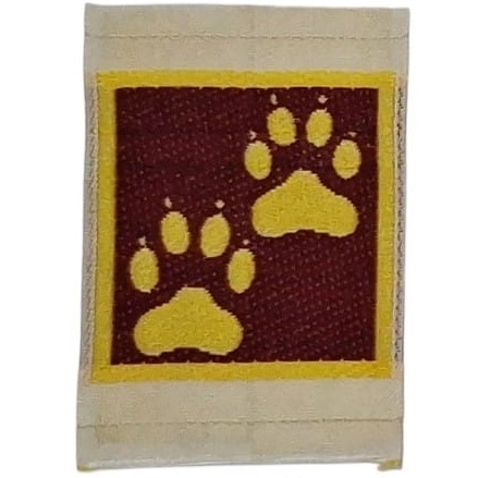Insignia scout etapa HUELLA Argentina INSA