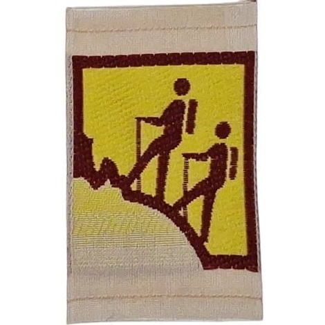 Insignia scout etapa TRAVESÍA Argentina INSA