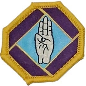 Insignia scout 1° clase Tropa GUÍAS Y SCOUTS DE COSTA RICA