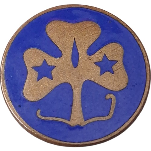 Pin de Promesa GUÍAS DEL URUGUAY
