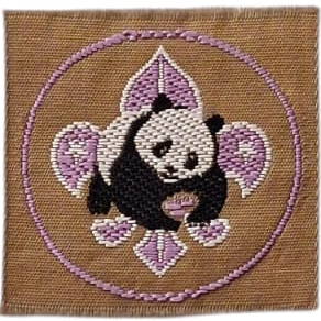 Insignia mundial de Conservacionismo scout UEB Brasil